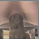 A woman is filmed by an unstable cameraman while she sits on the edge of a chair, pissing & pooping.